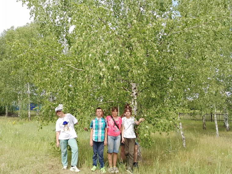 Тема девятнадцатого дня «День Берёзки»..